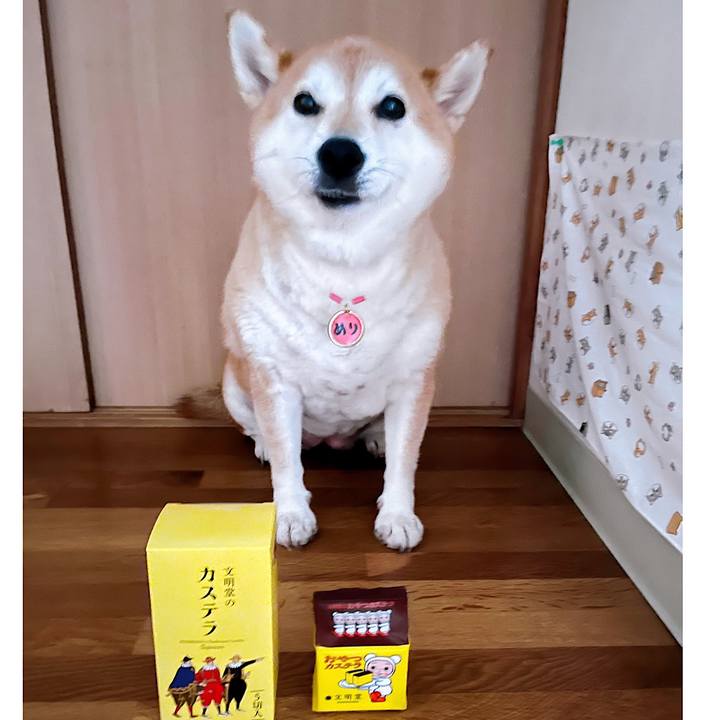 62c3609b 6262 4dc2 a376 5df0a92750b9 1722319496747