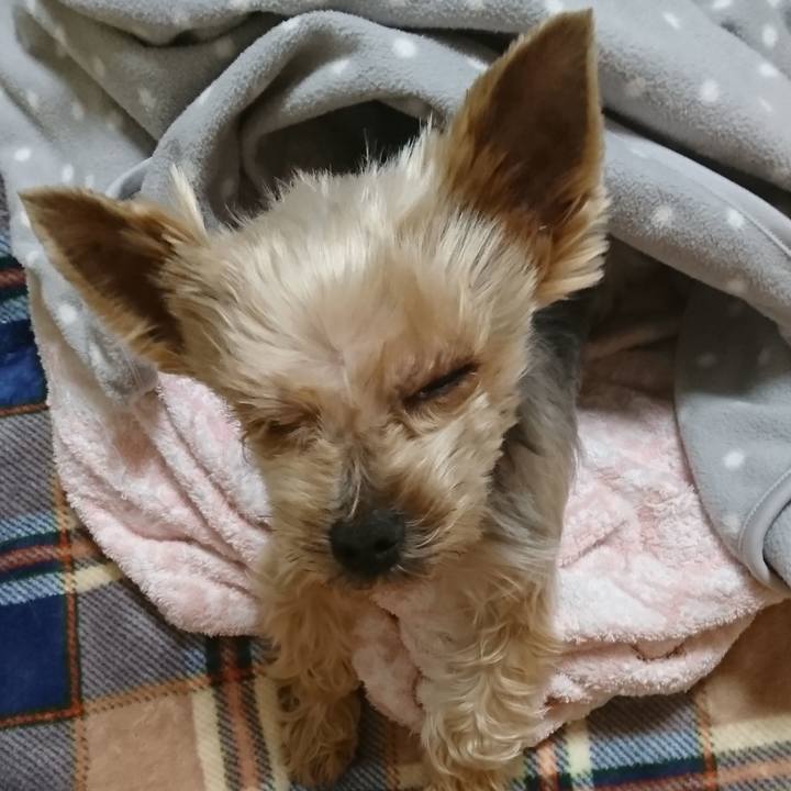 62c36d39 ca83 4b69 b85a 8eb0e9ef0b0c 1548195879587