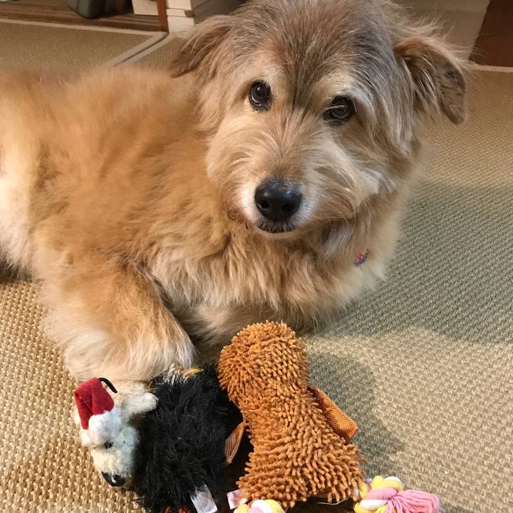 62c37cf3 cbf4 43c3 9458 ba4ae57aa202 1611353793083