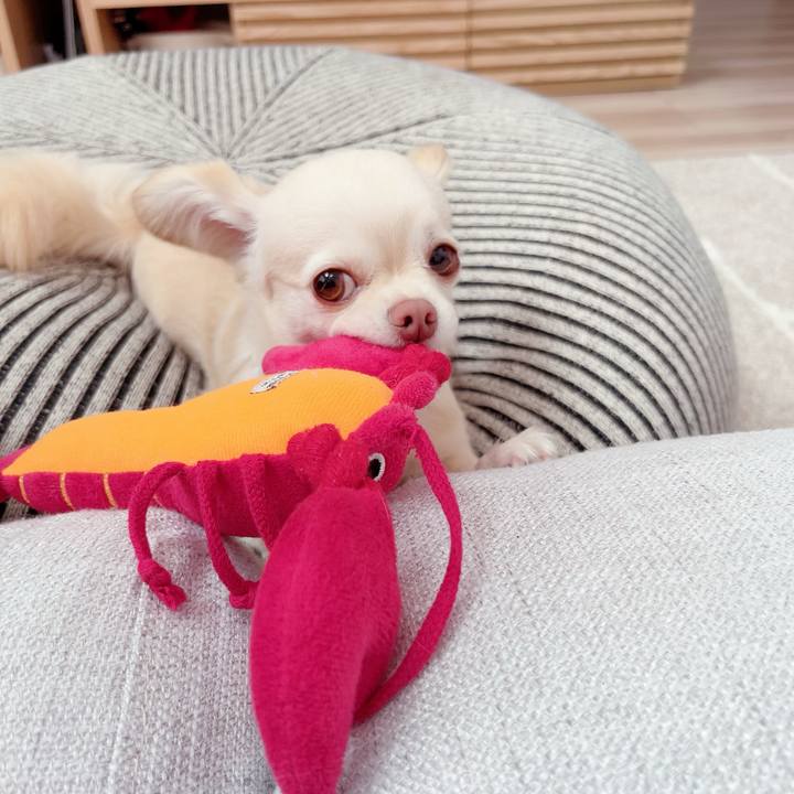 62c38cd3 da60 4105 8c3b 5c22b1c80df3 1686547332368