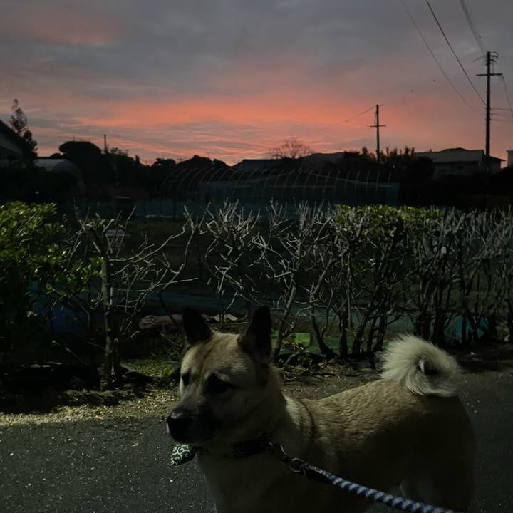 62c3cc89 1fbe 44d0 afdc 46a590805b1d 1673615843338