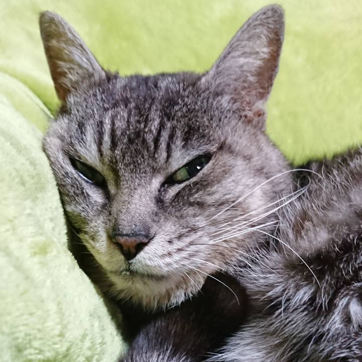 62c3d88d 6d40 4ac1 a899 1759745c690c 1583479650138