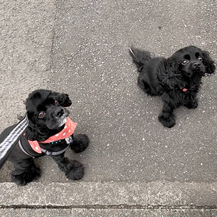 62c43d66 0dc3 405a 9896 e57bdf18fd6e 1598787383916