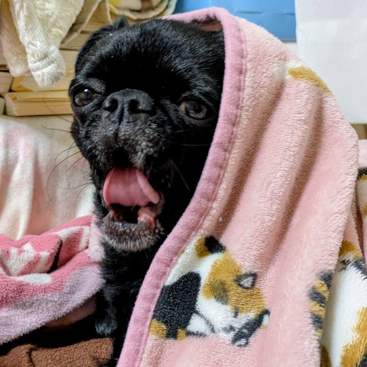 62c46078 d456 4e02 8d96 33ec44872e45 1766155966497