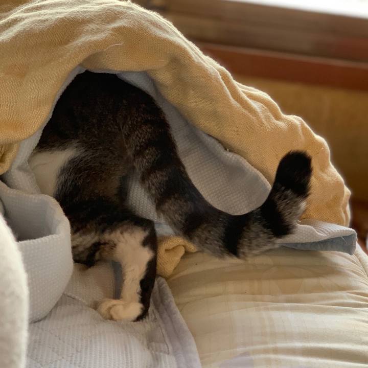 62c47ebf 023d 451a 9f81 7db273fb8d5e 1538962628407