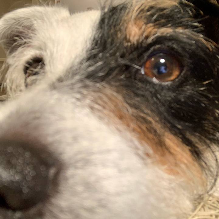 62c49192 aff8 42d3 8732 8cbc47f9023b 1621506486877