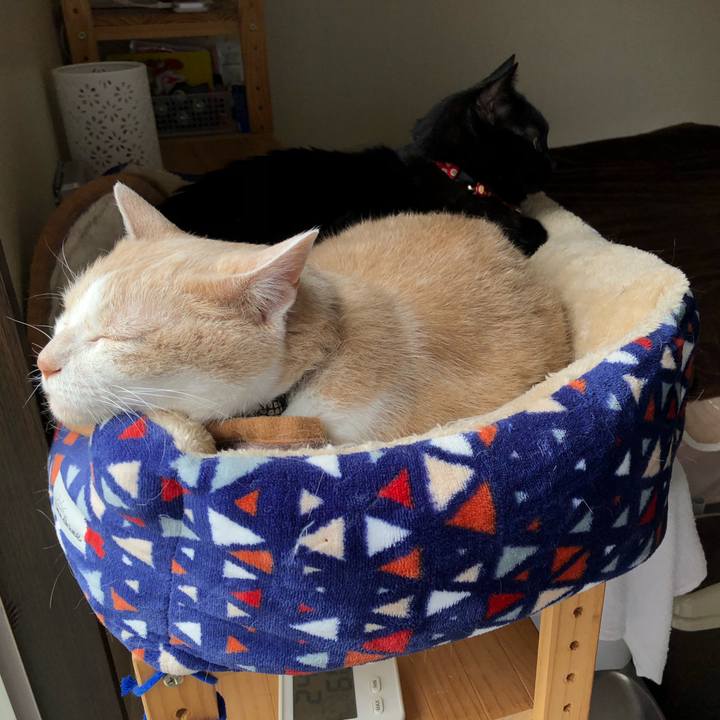 62c49cd4 e019 445a 8d62 d2793bd5e0ba 1622587293463