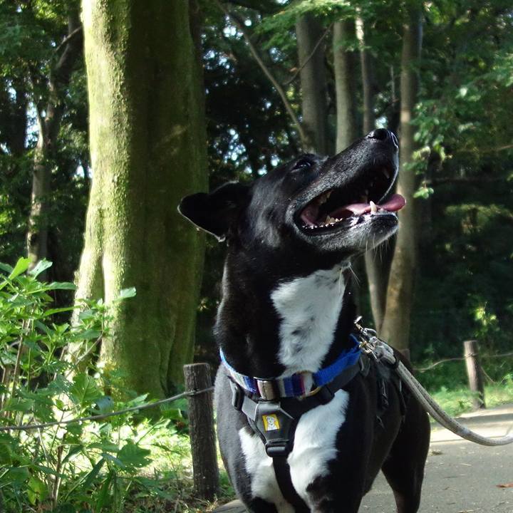 62c4eb1a a4f6 4afd 9293 21ae63c8a6b7 1661300240715