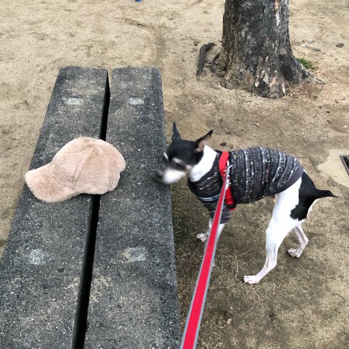 62c4ece7 a765 4fb6 8a5f d8c7001e7d03 1550705092516