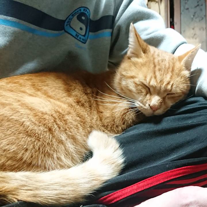 62c5289f 8bec 42b0 af39 7ab015eedf6f 1602759809763