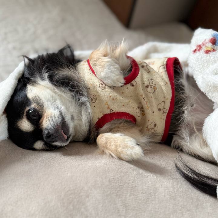 62c5478d f0ea 4224 b65e f3b74e7dd7ab 1763034319530