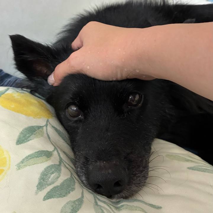 62c56ad4 269e 4943 848d 910b4373cb5e 1756875876768