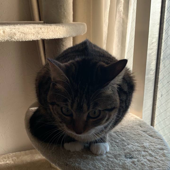 62c59989 fbaa 47f9 b4e1 ba8f425ca8e6 1547597652856