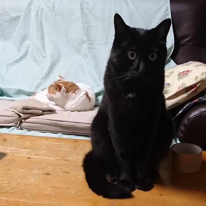 62c5c269 163e 4416 9a9f 0dbc0d454dfe 1534313881758