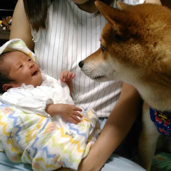 62c60502 cba9 4c9f be65 75c9759b6a33 1530704446613