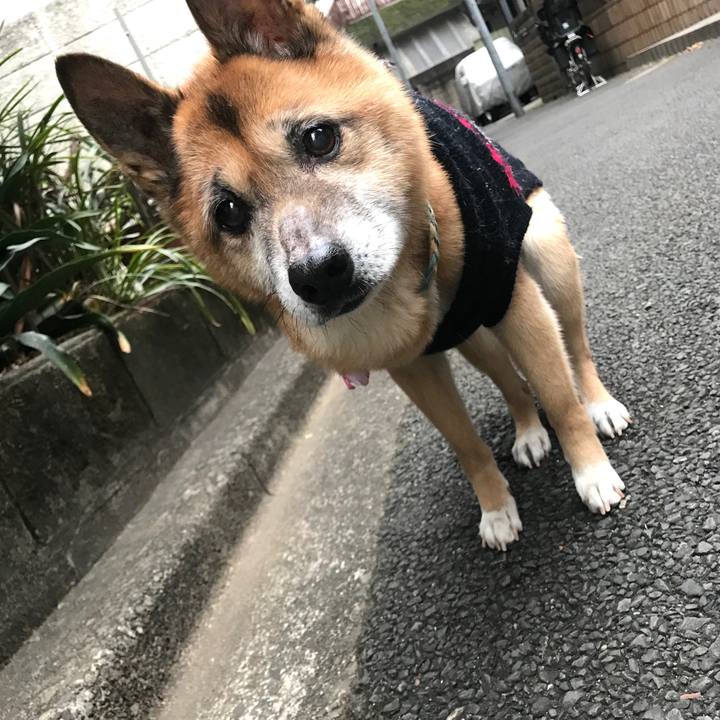 62c6456f c79f 4b16 8738 ce89705a9d52 1548800015116