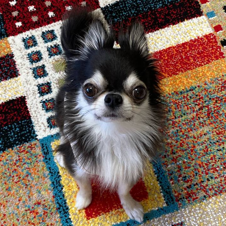 62c66c3e c12c 4eec 809c 418286f6061f 1702093347303