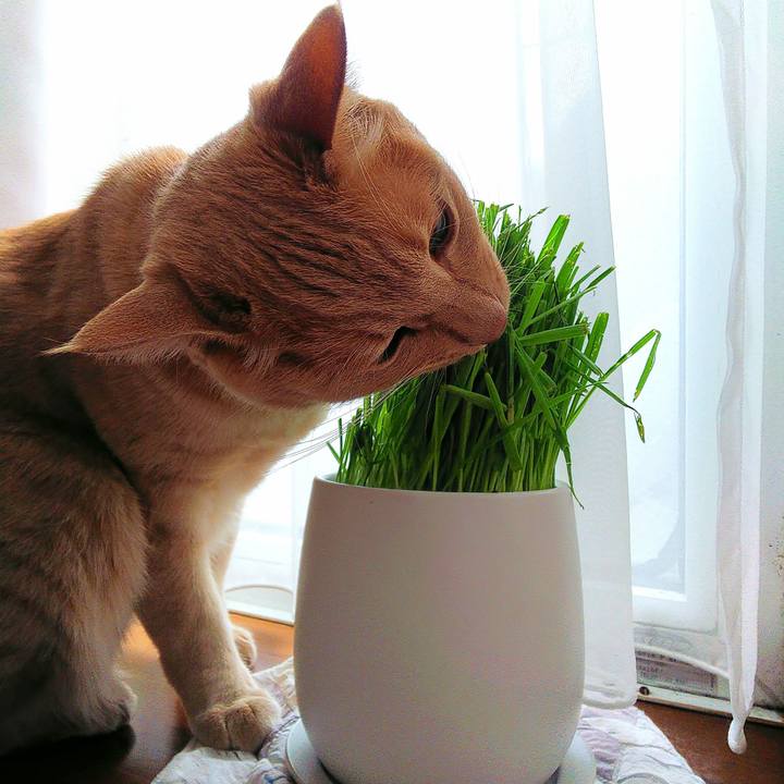 62c67a7c 63a9 4857 89c7 4f9277c04569 1648001929344