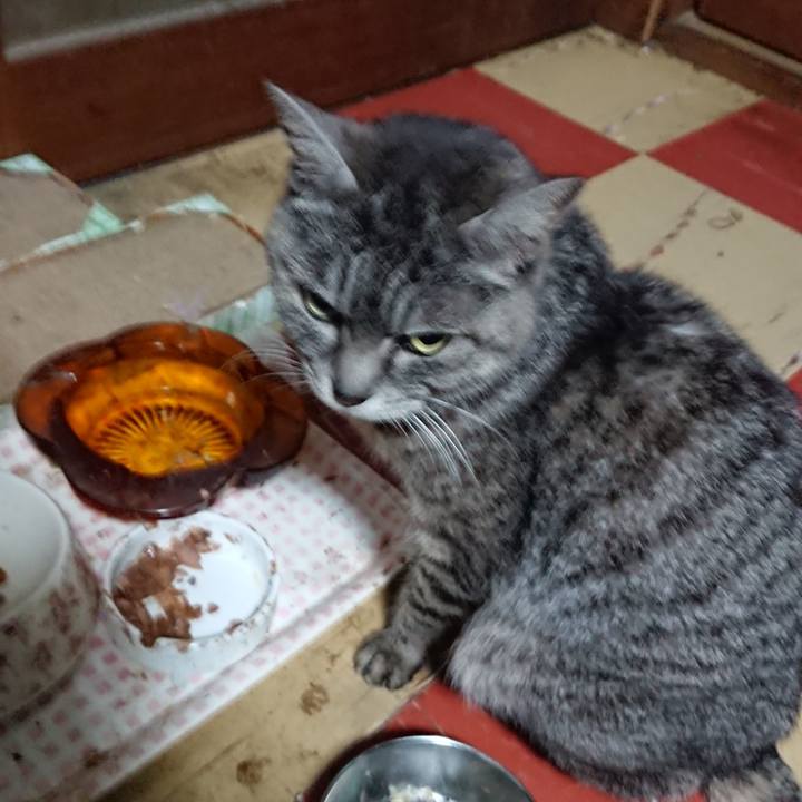 62c67bd5 9e23 4346 b19a ccd1cea15cd1 1551070043836