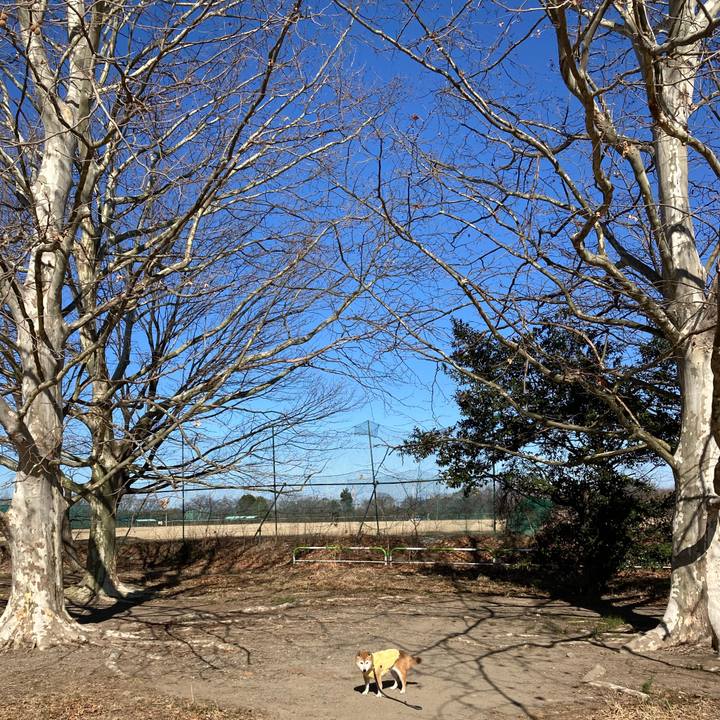 62c68c29 6a2b 4a58 a91f 3e1f7e6876ae 1771481343970