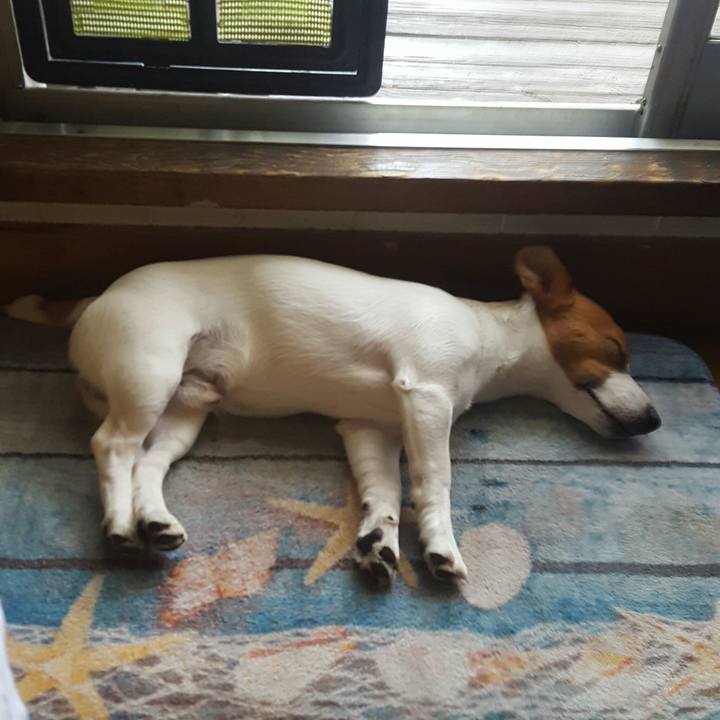 62c69d44 3575 448b 9200 567ce63f1107 1563432364925