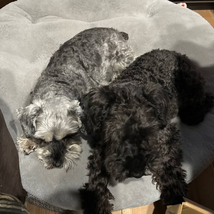 62c6debc 75fd 4557 a82d 599b043313dd 1706227226108