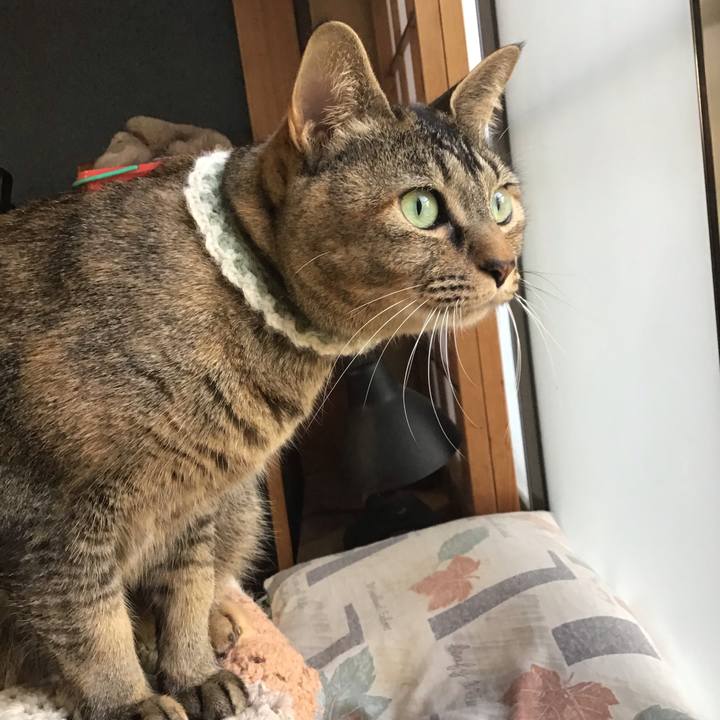 62c6fddd 2ecc 43cd 9751 90ff4e2de194 1649321214900