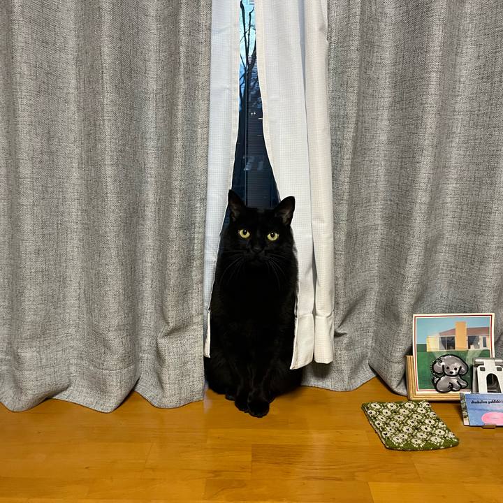 62c70519 aff6 4d53 8b58 46e4b71be2b6 1703031285181