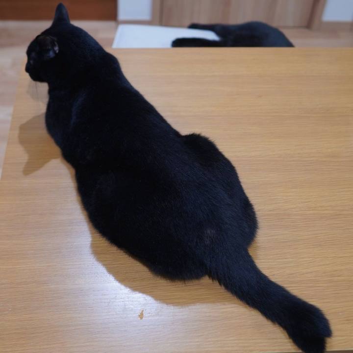 62c72f70 4902 4f88 aa43 a3bf82f010e6 1600529396467