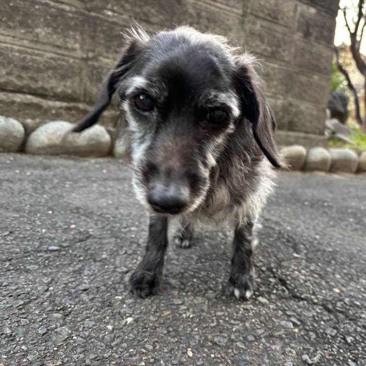 62c73aa8 3997 4f12 9671 9aaab711e04f 1764975666420