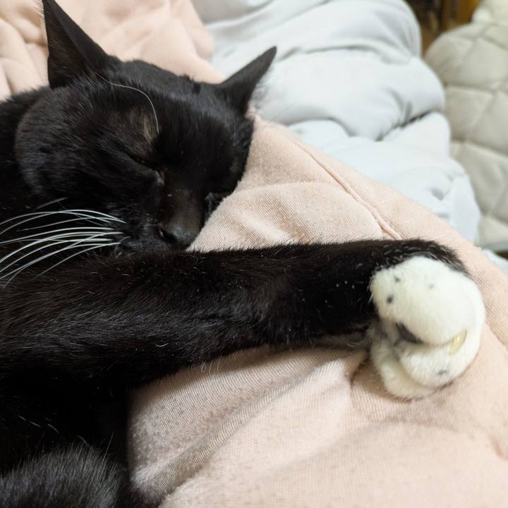 62c76e94 8bcd 4833 844a 61845a19dcca 1773749138048