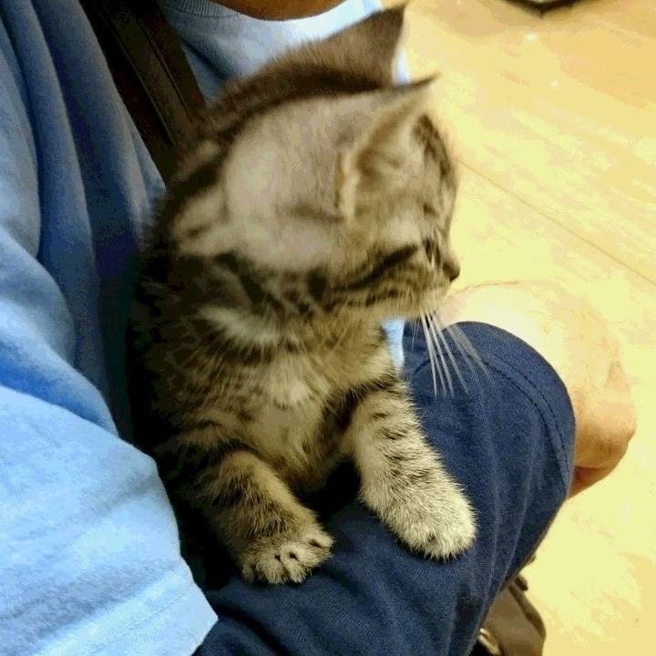 62c7dcda 727d 4d20 b301 b6bdc8f26683 1550749731034