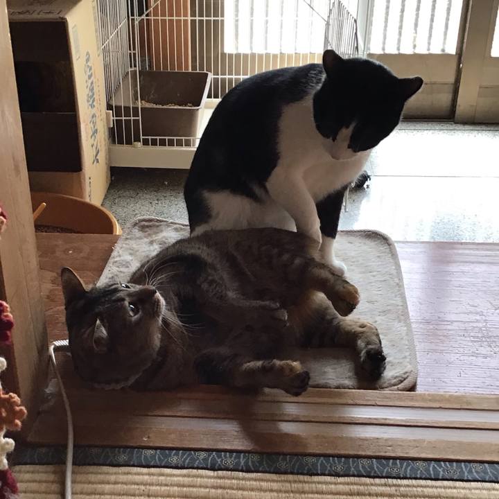 62c81405 0cbd 47aa 85e1 f99268776a34 1647831109278