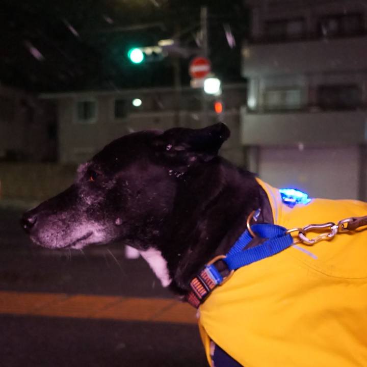 62c83341 73d2 4210 addb 11e9588410db 1767350423304