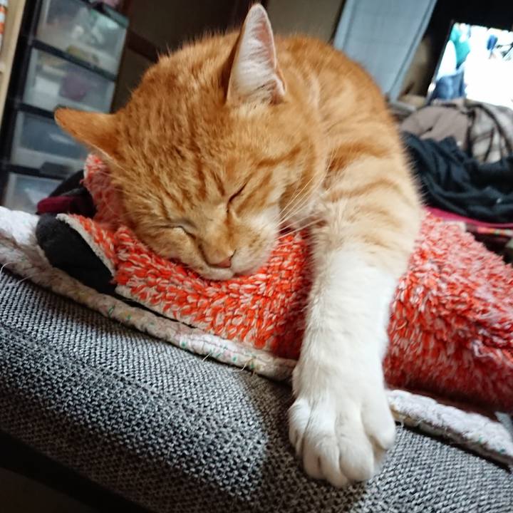 62c86a14 b68b 4d84 9641 44c2b6aa90f2 1581415081068