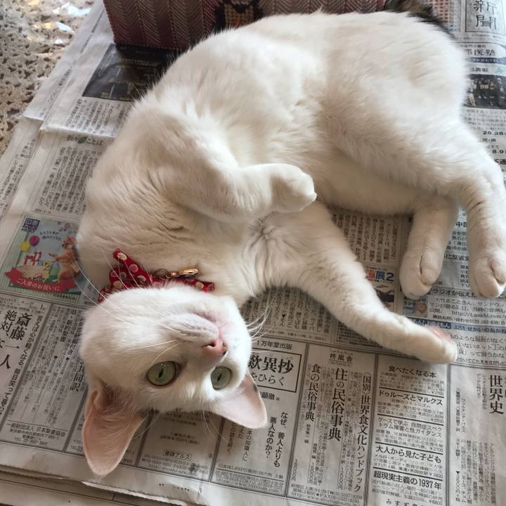 62c86cd5 d9e2 4251 b050 667b8f666949 1552189607549