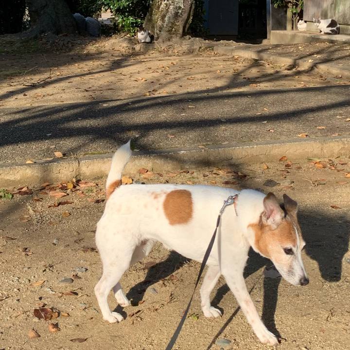 62c88d4d 6c55 43c7 9cad c76dc3de7ae0 1606003445087