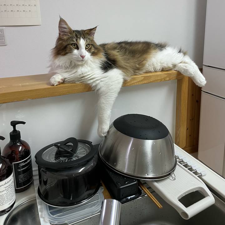 62c89f75 de65 47f7 b9c8 dd8d5dab96ae 1639998756077