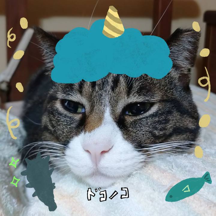 62c8df0f 959e 4a89 97d6 ce10b80ccd3d 1706779998155