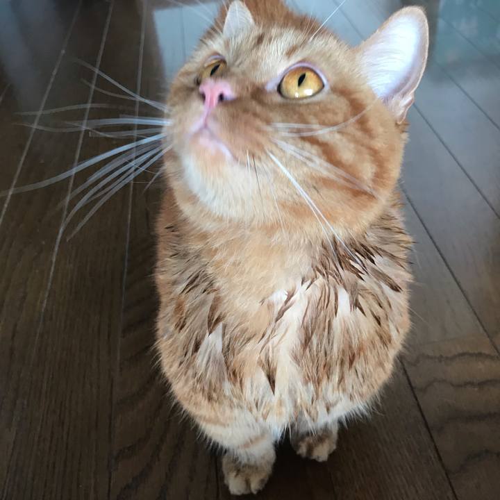 62c91122 52e3 4c73 8c2f fd0ee4aa93e2 1569123968417