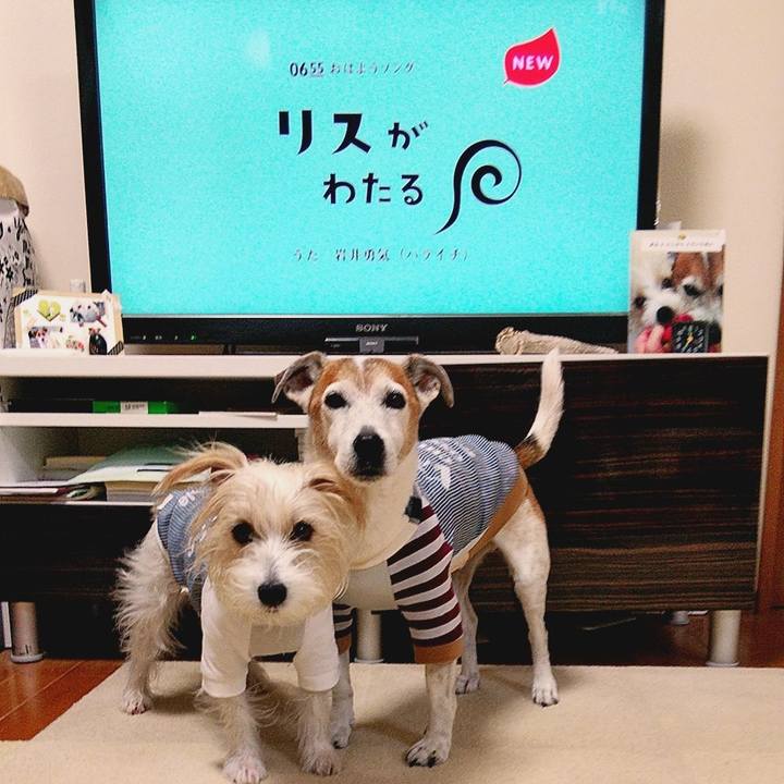 62c91d6c b820 4c89 b723 91f753dee82f 1575843345825