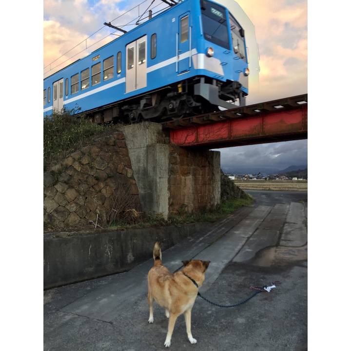 62c93ba6 ce27 4786 a7de 2f02587a1d61 1547885036819