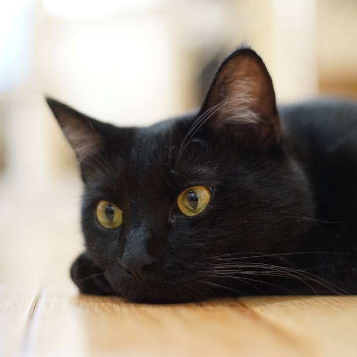 62c97716 8b7c 4b15 ae43 20a468780c12 1526427637123