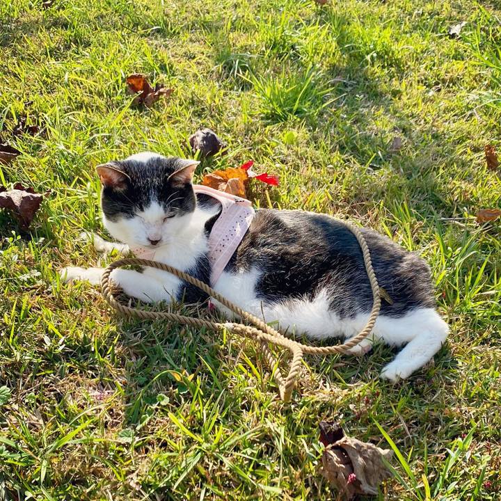 62c98c8f cd09 4cc0 9433 498e13b22f44 1606364890522