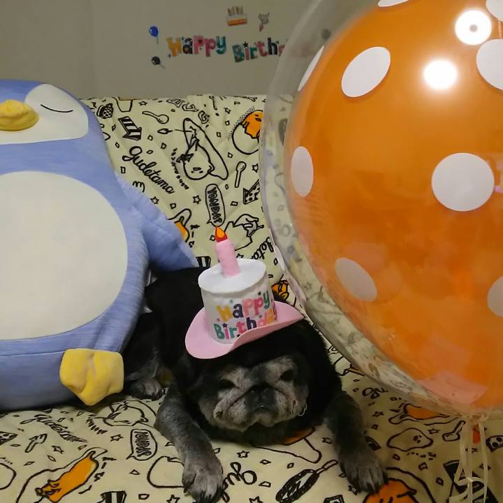 62c98e00 d2f8 442e a2d9 8b94f7c5a898 1527951957384