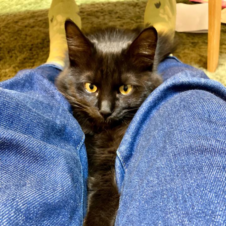 62c98e2d 00b6 44ce a498 22e370db9460 1711768417840