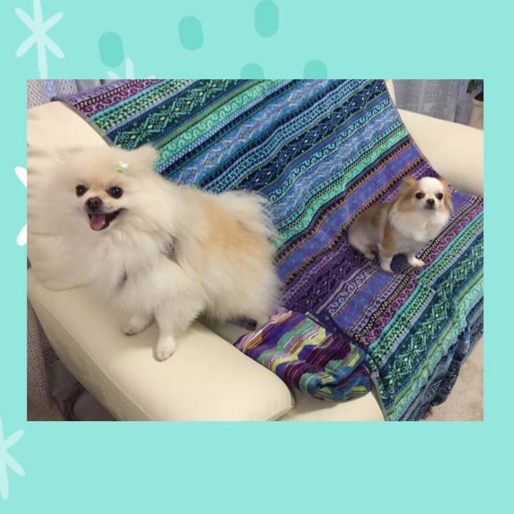 62c993bd 651e 45e5 a8af 07efb2a88d4e 1567526747169