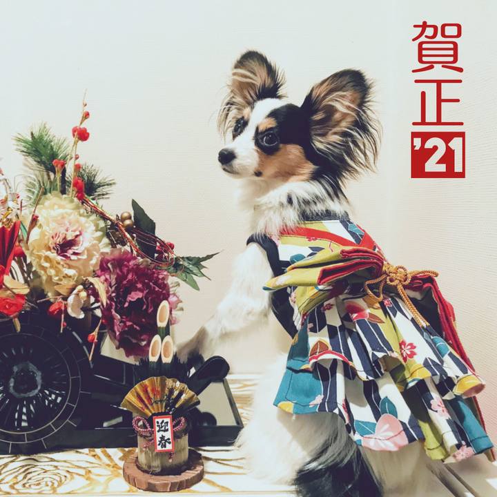 62c9d20b 5bd8 487c a6bd ab9ad69b5632 1609592480959