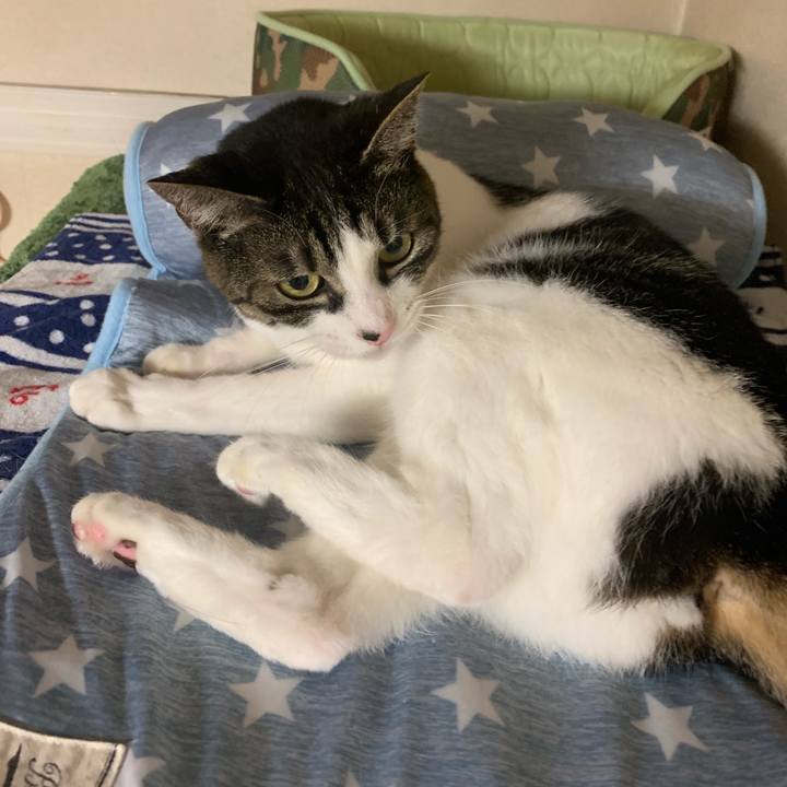 62c9f0d7 0185 4614 849d ae2caeec5885 1559827465550