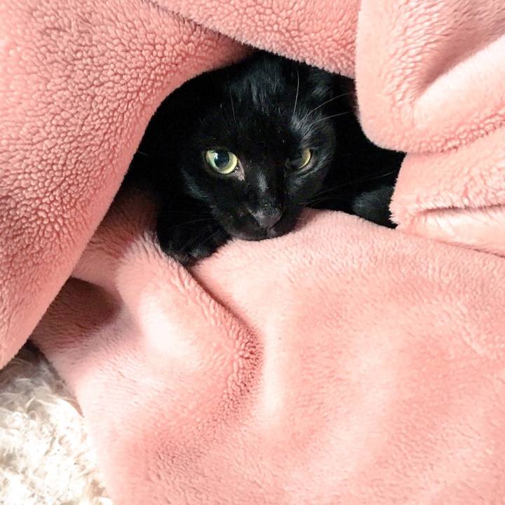 62c9fc4a 7379 4978 9c0a 2be1a95e3b66 1508807215276